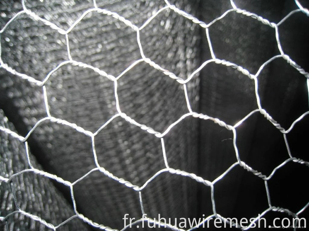 HEXAGONAL WIRE MESH